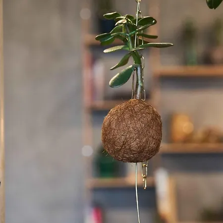 Guestapart Apartmanhotel 4*