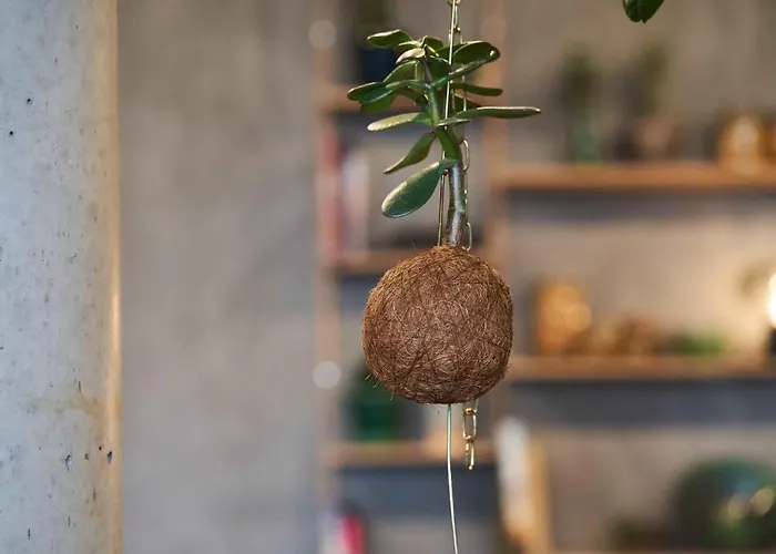 Guestapart Lägenhetshotell 4*